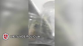 Policija klaipėdiečio namuose aptiko kanapių ir jų sodinukų