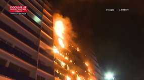 Vienoje Paryžiaus ligoninių naktį siautė gaisras