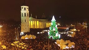 2015-ųjų Kalėdų eglė Vilniaus Katedros aikštėje (Linas Gelažanskas ir Tomas Tombakas)