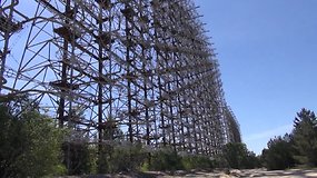 Černobylis-2: keistos konstrukcijos miške