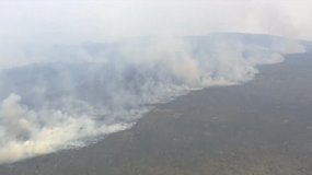 Tasmanijoje krūmynų gaisrai nusiaubė 68 tūkst. hektarų