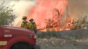 Los Andžele du gaisrai susijungė į vieną, ugnis nusiaubė daugiau kaip 2200 hektarų