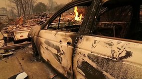 Kalifornijoje siaučiant miškų gaisrams sudegė šimtai namų, žuvo mažiausiai 11 žmonių