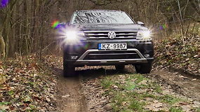 Jogaila Morkūnas pirmą kartą renkasi automobilį ne pagal spalvą