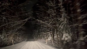 Mieste – sudėtingas eismas, o miške – žiemos pasaka