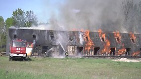 Ugnies liepsnos siaubė jėgos aitvarų ir burlentininkų mėgstamą vietą Svencelėje
