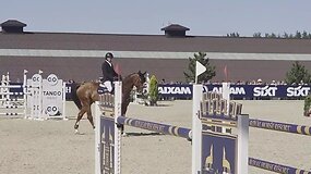 Alytaus rajone vyksta atviras Lietuvos konkūrų čempionatas