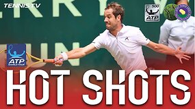 Richardo Gasquet gražus ta&scaron;kas Halėje