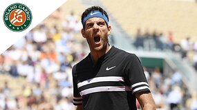 Juanas Martinas del Potro nugalėjo Mariną Čiličių