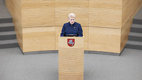 Dalia Grybauskaitė metiniame pranešime: „Su valstybe iš esmės viskas gerai“