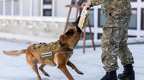 Lietuvos kariuomenės vadas: be šunų, jokia karinė operacija yra neįmanoma