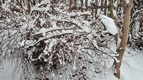 Sinoptikai apie ateinančius orus: nebūtinas keliones reiktų atidėti