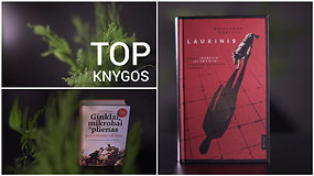 Lapkričio TOP 13: knygų antplūdis artėjant šventėms