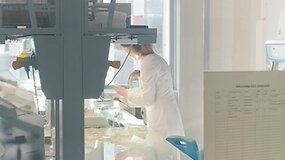 G. Mikalauskaitės video &bdquo;ES investicijų dėka Lietuva gali lyderiauti mokslinių tyrimų srityje&ldquo;