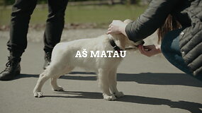 V.Valčiukaitės darbas videokonkursui  &bdquo;Ar matai, kaip keičiasi pasaulis?&ldquo;