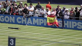 „Aegon Championships“ turnyro apžvalga