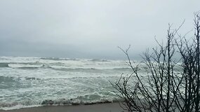 Filmuotuose skaitytojo kadruose - vėjo &scaron;ėlsmas pajūryje