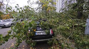 Stiprus vėjas verčia medžius &ndash; vilnietei apgadino automobilį