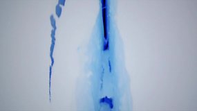 Antarktidoje atsivėręs įspūdingas plyšys privertė mokslininkus trauktis