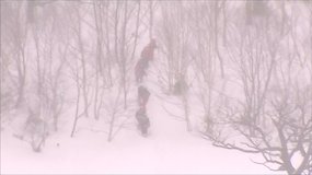 Japonijoje sniego lavina pražudė mažiausiai 8 moksleivius