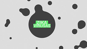 Zika virusas: svarbiausi faktai, kuriuos turite žinoti