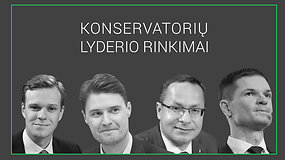 TS-LKD partijos lyderio rinkimai: dabartinis pirmininkas ar pretendentai?