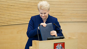 Prezidentė Dalia Grybauskaitė: „Užsitęsusi valstybės valdymo sumaištis jau kelia nerimą“