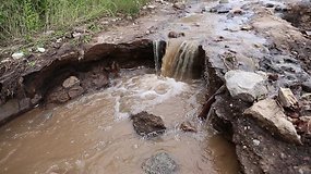 Suniokotas Lapelių ir Brazelių kaimus jungiantis kelias