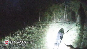 Tarnybinis &scaron;uo mi&scaron;ke surado paklydusią moterį