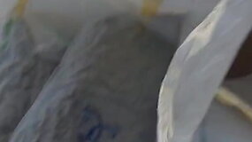 Kriminalistų rankose įspūdingi kiekiai kanapių
