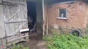 Kupi&scaron;kio rajono sodyboje aptikta kanapių plantacija