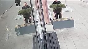 Nufilmuota, kaip pilietis vagia medelius