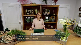 Floristė E.Pratapienė parodė, kaip susikurti žydinčią kalėdinę stalo kompoziciją