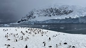 Jūratės Radvilavičiūtės užfiksuoti vaizdai Antarktidoje