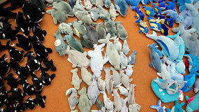 Su įspūdingo dydžio delfinų kolekcija vilnietė sieks pasaulio rekordo