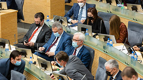 Komentarai prieš rytinį Seimo posėdį