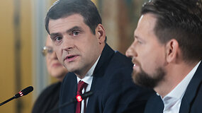 R.Žemaitaitis apie V.Blinkevičiūtę: politikas turi tesėti duotą žodį