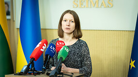 Birutė Davidonytė: &bdquo;Mes dar nežinome, ar dalyvausime &scaron;itoje darbo grupėje&ldquo;