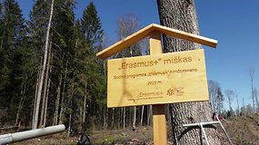 Žaliosios iniciatyvos sujungė švietimo bendruomenę: pradėtas sodinti programos „Erasmus+“ miškas