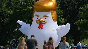 Baltųjų rūmų kieme — pripučiama Donaldo Trumpo vištos figūra