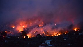 Pragaras Graikijos miškuose: siaučiantis gaisras nusinešė 74 gyvybes