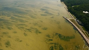 Toksiškomis bakterijomis „žydinti“ Baltijos jūra džiugina mokslininkus