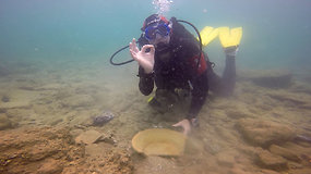 Izraelio narai archeologai būsimo dujotiekio vietoje iš dugno gelbėja senovės lobius