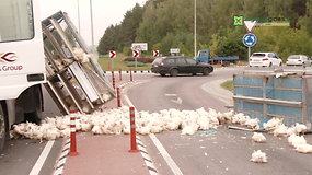 Sutūpę vištos blokavo kelią į Vilnių