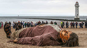 Anglijos paplūdimyje prabudo žmogus-milžinas – gyventojai suskubo įamžinti amą atimančią lėlę