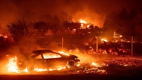 Kalifornijoje dešimtys tūkstančių žmonių palieka savo namus: miškų gaisrų liepsnos siekia 46 m aukštį