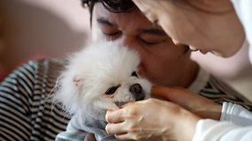 Demografinė krizė Pietų Korėjoje: šeimos pirmenybę teikia gyvūnams
