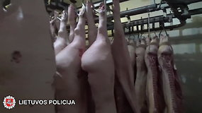 Suduotas rimtas smūgis šešėliniam prekybos mėsa verslui