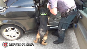 Vairuotoją išdavė jaudulys: tarnybinis šuo suuodė narkotines medžiagas