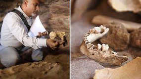 Archeologus nuliūdino lobių ieškotojų nusikaltimas: rasti apgadinti 3 tūkst. m. senumo Senovės žmogaus palaikai